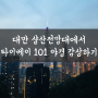 대만 샹산전망대에서 타이베이 101 야경 감상하기