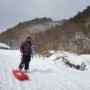 겨울 눈 즐기기