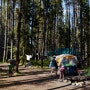 캐나다 로키 캠핑여행 - 캠핑장 이용시 주의할 점