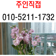 광교상가 임대 전용48평,주인직접,효성 헤링턴 타워