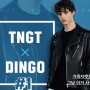 TNGT X DINGO 기획전 오픈