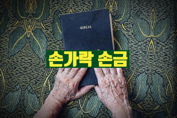 손가락 중지 약지 소지 손가락 손금 : 네이버 블로그