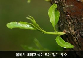 우수(雨水) 1년을 24개로 구분한 24절기 가운데 두 번째 절기(24절기) : 네이버 블로그