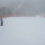 겨울여행 하이원리조트(강원랜드)에서 스키 카지노 워터파크 즐기러 고고~ feat. 하이캐슬리조트