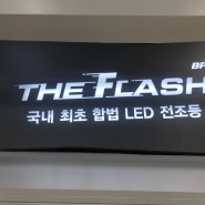 더플래쉬(THE FLASH) 국내 최초 합법 LED 전조등 Q&A