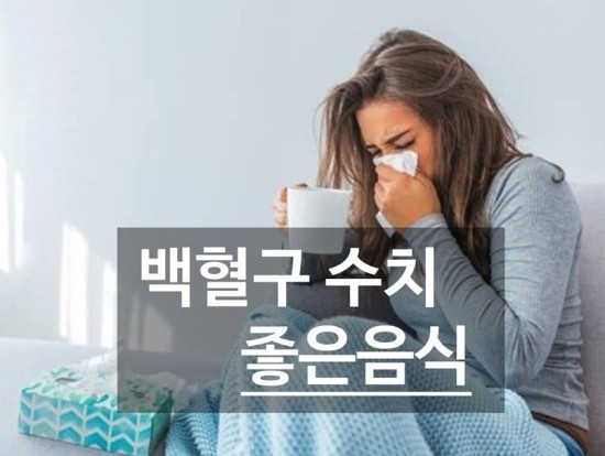 백혈구 수치 회복에 좋은음식 살펴보아요 : 네이버 블로그