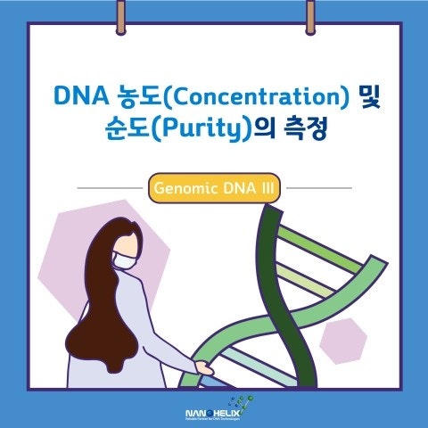 네이버 블로그