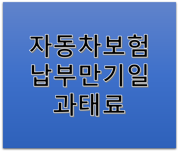 자동차보험 납부만기일 지나면 과태료 나오니 꼭 미리 갱신