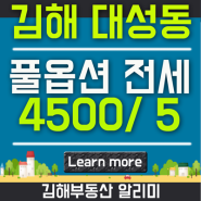 김해 대성동 김해여고 부근 깔끔하고 귀한 신축 투룸 전세