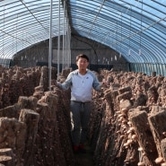 [미디어팜] "합천군이 살아야 저희도 살죠" 연매출 2억, 합천 화인표고버섯농원 김영빈 대표