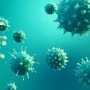 코로나바이러스19 대처방법 및 면역력을 높이는 생활습관