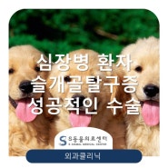 【심장병환자 슬개골탈구증 수술 성공기】 위례S동물의료센터 수술전문병원