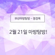 부산 2월 21일 금요일 마방 탐방! | 정경목, 코리아레이스경마