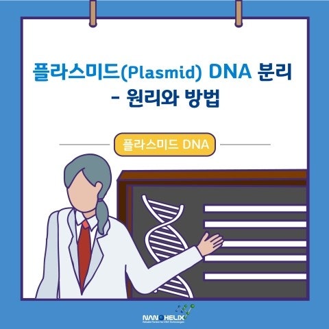 네이버 블로그