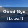 하와이신혼여행 마지막날까지 호놀룰루공항면세점 쇼핑 :)