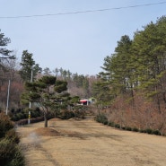 진안고원 꽃잔디 동산 늦겨울 이모저모 풍경들