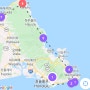 [하와이3일] 존맛탱 시나몬마카다미아 <Tropical Farms Macadamia Nuts> & 새우트럭 <Fumi's Kahuku Farm> -20년 2월