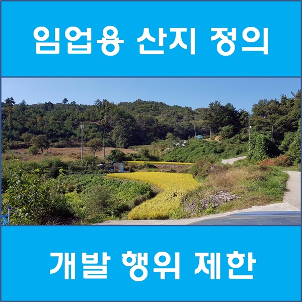 임업용 산지 정의 및 개발 행위 제한 : 네이버 블로그