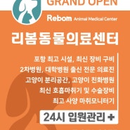 GRAND OPEN - 리봄동물의료센터 진료안내