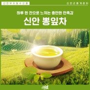 [뽕잎차] 하루 한 잔으로 몸의 #면역력증가 #기력회복 #체온조절 해결~🌿