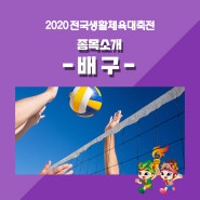 2020 전국생활체육대축전 종목소개 :: 배구