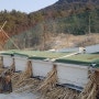 재호팜 천년초 꿀벌들이 봄을 기다리고 있어요