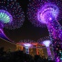 싱가포르 여행 | <가든스 바이 더 베이>의 환상적인 <슈퍼트리쇼>