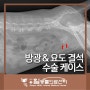 김포동물병원_방광결석 제거 수술 케이스