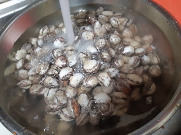 꼬막 삶는법과 꼬막양념으로 맛난 꼬막 무침 : 네이버 블로그