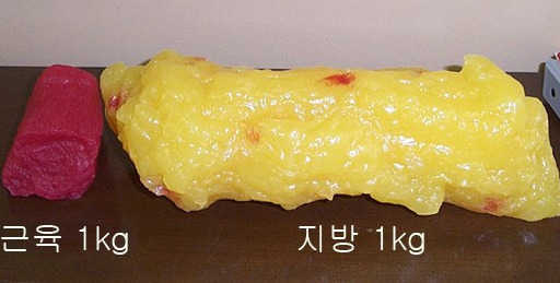 근육과 지방 무게 1kg당 부피차이로 유명한 이 사진 반은 거짓말입니다 : 네이버 블로그
