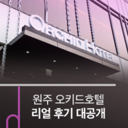 안전한 오키드호텔~ 인플루언서들의 리얼 후기 대공개!