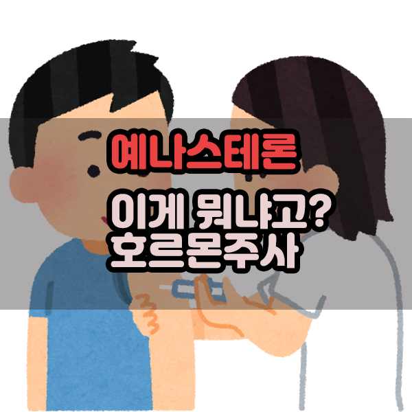 예나스테론 이게 뭐냐고? 그냥 주사야 : 네이버 블로그