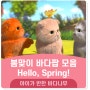 유아영어동요 추천, 따뜻한 멜로디의 봄맞이 바다POP 모음! "Hello Spring Compilation"