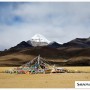 티벳(25) .. 짜다토림에서 다르첸으로 가는 길가의 풍경