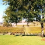 가을의 와이너리 73 - De Bortoli Wines, Yarra Valley,VIC,호주