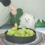 강아지 인형만들기 / 강아지 노즈워크 장난감 만들기 DIY 과정