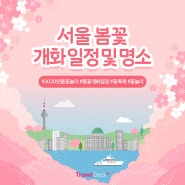 2020년 서울 봄꽃 개화 일정 및 명소를 알아보자!