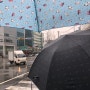 20.02.28 잭니클라우스 우산/우산후기/예쁜우산/우산