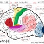 자기주도학습을 위한 두뇌 과학과 원리 - 기억과 망각