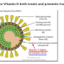 아이허브 비타민D- 코로나 바이러스 물리치기