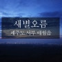 [제주도여행] 새별오름. 저녁노을질때 올라가면 감성터짐. 인생샷. 제주도오름