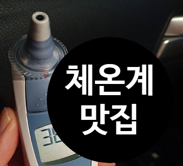 약국 체온계 가격, 다이소랑 여기저기 체온계 파는곳 정보 공유 : 네이버 블로그