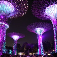 상하이 싱가포르 조호바루 자유여행 13박 15일 일정 정리