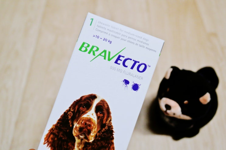 강아지 외부기생충약 '브라벡토' (3달 지속, 구충범위) : 네이버 블로그