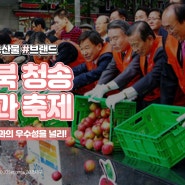 청송사과축제 2020, 대한민국 대표브랜드 청송사과의 명성