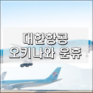 대한항공 오키나와 노선 5월 31일까지 운휴