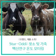 Star-Oddi: DST-micro-T 온도센서를 이용한 젖소의 수유기간에 미치는 장내성 유방염 (Coliform Mastitis) 백신의 영향 연구