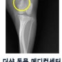 강아지 파행을 일으키는 질환들, 강아지가 잘 못 걸어요, 강아지 슬개골 탈구 수술 전문 병원, 송파구 잠실 동물병원