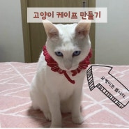 [코바늘 뜨기] 강아지, 고양이 케이프 뜨기