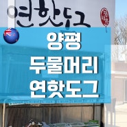 전참시 양평 두물머리 연핫도그 방문후기!